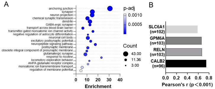 https://cdn.ncbi.nlm.nih.gov/pmc/blobs/efd7/10855946/53ea9a958322/ijms-25-01651-g003.jpg
