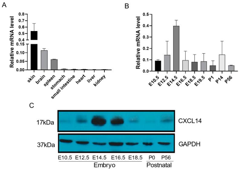 https://cdn.ncbi.nlm.nih.gov/pmc/blobs/efd7/10855946/91a50e7fb7c1/ijms-25-01651-g002.jpg