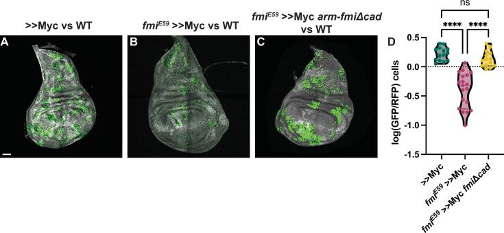 https://cdn.ncbi.nlm.nih.gov/pmc/blobs/efd7/11684786/a9407532c0da/elife-98535-fig6.jpg