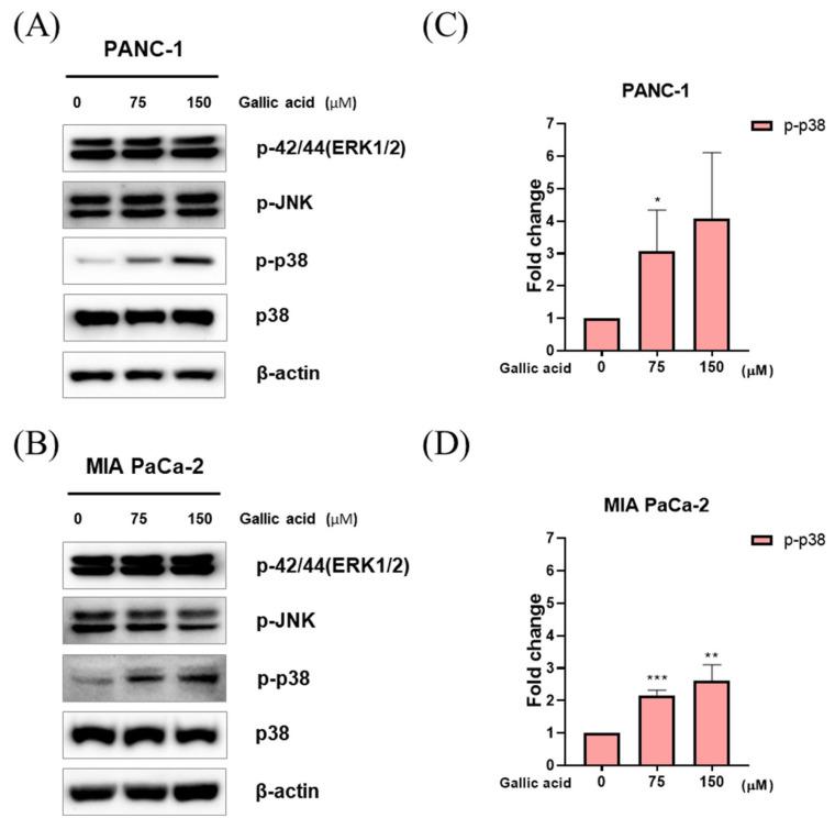 https://cdn.ncbi.nlm.nih.gov/pmc/blobs/efd8/10607041/02008ac44194/ijms-24-15236-g005.jpg