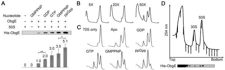 https://cdn.ncbi.nlm.nih.gov/pmc/blobs/efd9/4028186/c3dac4d67f96/pbio.1001866.g001.jpg