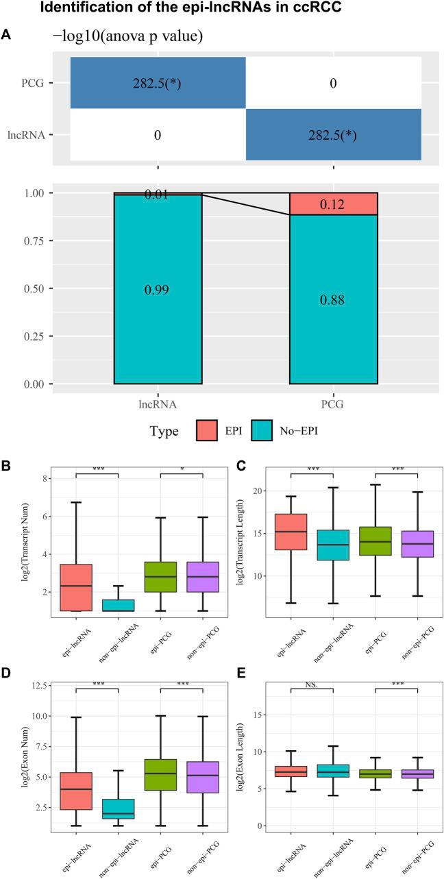 https://cdn.ncbi.nlm.nih.gov/pmc/blobs/efda/11327069/1984ba2b37d9/fgene-15-1406150-g001.jpg