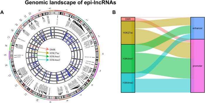 https://cdn.ncbi.nlm.nih.gov/pmc/blobs/efda/11327069/35525b2d929a/fgene-15-1406150-g002.jpg
