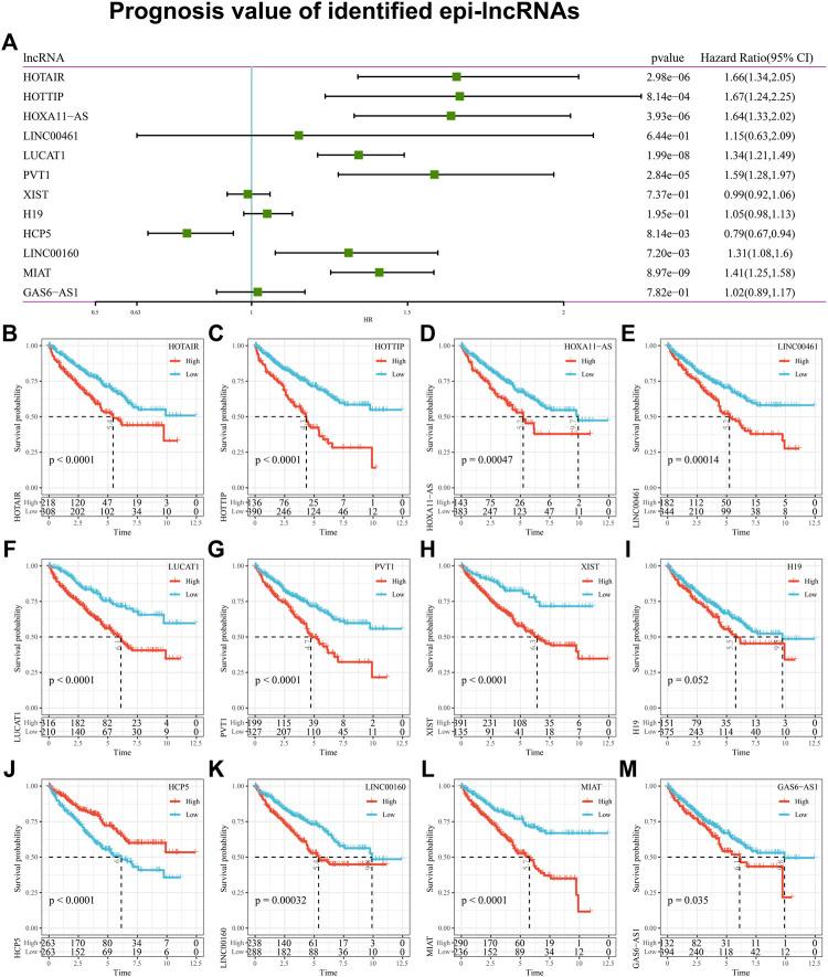 https://cdn.ncbi.nlm.nih.gov/pmc/blobs/efda/11327069/983ba2085119/fgene-15-1406150-g006.jpg