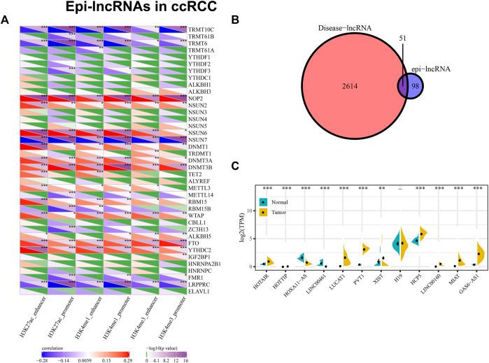 https://cdn.ncbi.nlm.nih.gov/pmc/blobs/efda/11327069/abc8cd41731e/fgene-15-1406150-g004.jpg