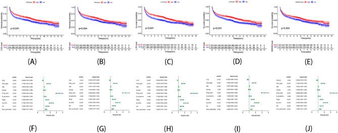 https://cdn.ncbi.nlm.nih.gov/pmc/blobs/efda/12039291/06b6ceb98fb0/13062_2025_649_Fig8_HTML.jpg