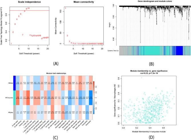 https://cdn.ncbi.nlm.nih.gov/pmc/blobs/efda/12039291/92de4ce18c29/13062_2025_649_Fig3_HTML.jpg