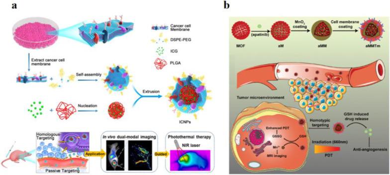 https://cdn.ncbi.nlm.nih.gov/pmc/blobs/efdc/8941025/52005d05dfe1/11671_2022_3673_Fig2_HTML.jpg