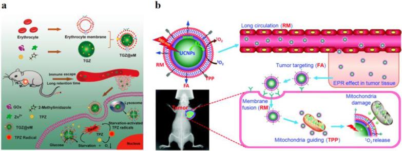 https://cdn.ncbi.nlm.nih.gov/pmc/blobs/efdc/8941025/75530225a049/11671_2022_3673_Fig1_HTML.jpg