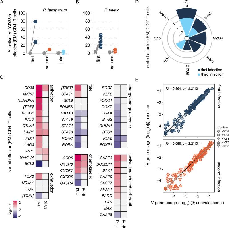 https://cdn.ncbi.nlm.nih.gov/pmc/blobs/efdd/11987708/f9a760136d16/jem_20241667_fig4.jpg