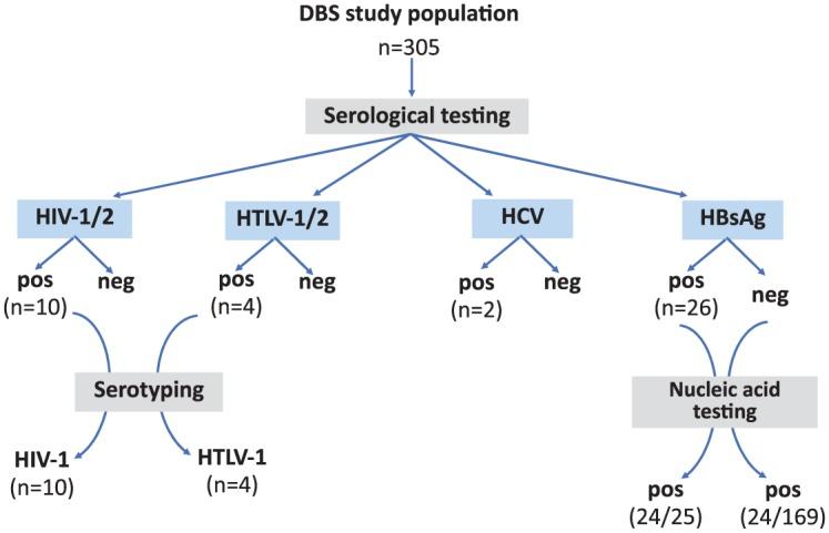 https://cdn.ncbi.nlm.nih.gov/pmc/blobs/efdd/6535694/dd67d96e3f25/10.1177_2049936119851464-fig1.jpg