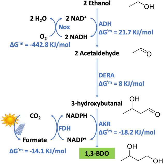 https://cdn.ncbi.nlm.nih.gov/pmc/blobs/efdd/8093283/cf7b0d402e5b/41598_2021_88899_Fig1_HTML.jpg