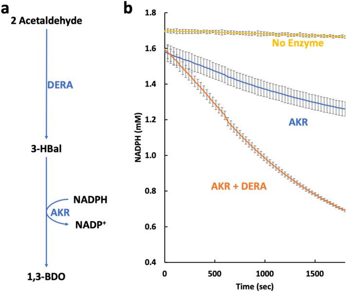 https://cdn.ncbi.nlm.nih.gov/pmc/blobs/efdd/8093283/e3d990ea7212/41598_2021_88899_Fig3_HTML.jpg