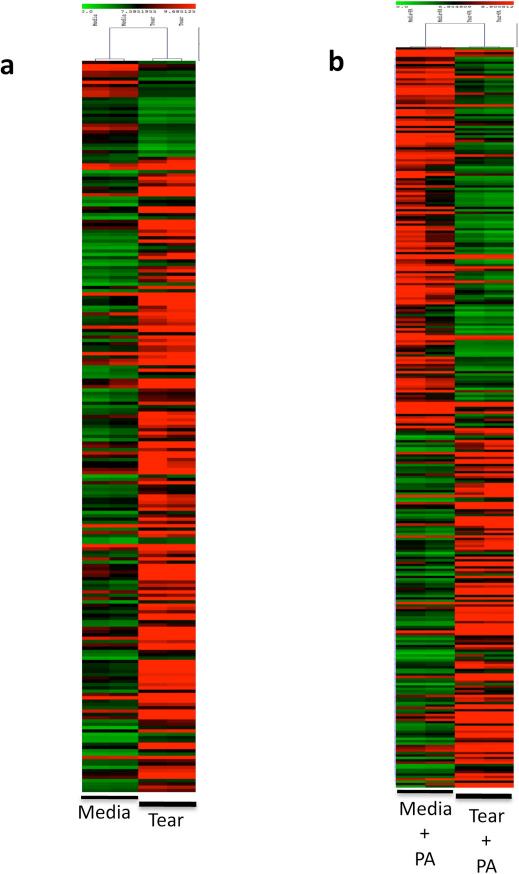 https://cdn.ncbi.nlm.nih.gov/pmc/blobs/efdf/3216496/18ff3f8e1089/srep00008-f3.jpg