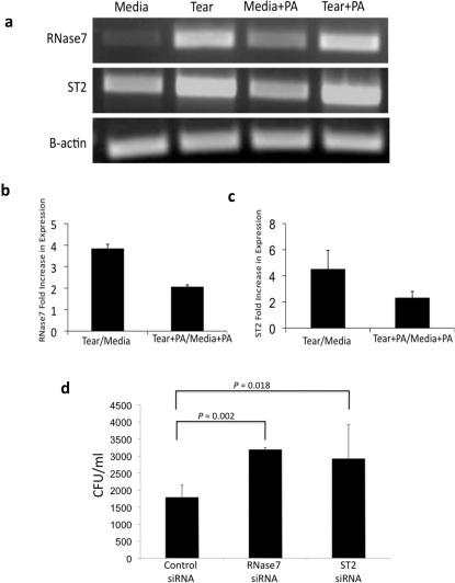 https://cdn.ncbi.nlm.nih.gov/pmc/blobs/efdf/3216496/2f9732e1ad64/srep00008-f4.jpg