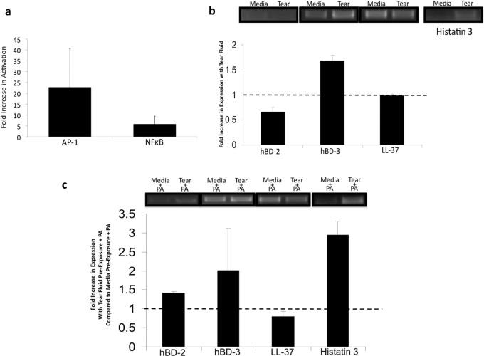 https://cdn.ncbi.nlm.nih.gov/pmc/blobs/efdf/3216496/c747ab20df8e/srep00008-f2.jpg
