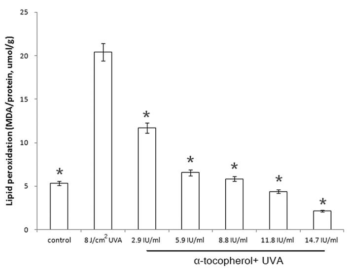 https://cdn.ncbi.nlm.nih.gov/pmc/blobs/efe1/3990220/84532688e958/BR-02-03-0419-g02.jpg