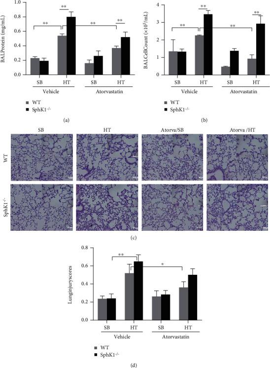 https://cdn.ncbi.nlm.nih.gov/pmc/blobs/efe1/8714370/37f43b569878/MI2021-9247285.001.jpg