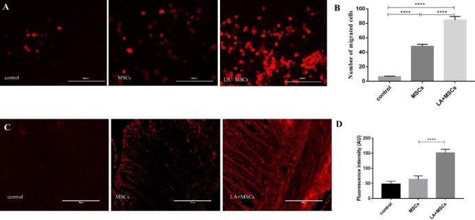 https://cdn.ncbi.nlm.nih.gov/pmc/blobs/efe2/8591761/daf0fbe73474/IJBMS-24-1050-g003.jpg