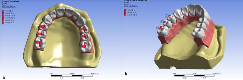 https://cdn.ncbi.nlm.nih.gov/pmc/blobs/efe3/12064776/209c6f616fc3/41598_2025_99750_Fig3_HTML.jpg