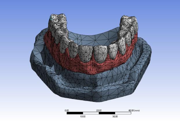 https://cdn.ncbi.nlm.nih.gov/pmc/blobs/efe3/12064776/3eceb1f629eb/41598_2025_99750_Fig2_HTML.jpg