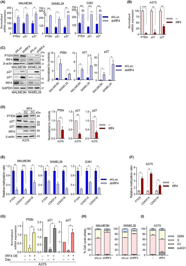 https://cdn.ncbi.nlm.nih.gov/pmc/blobs/efe8/11459048/4510de3cb30e/MOL2-18-2423-g002.jpg