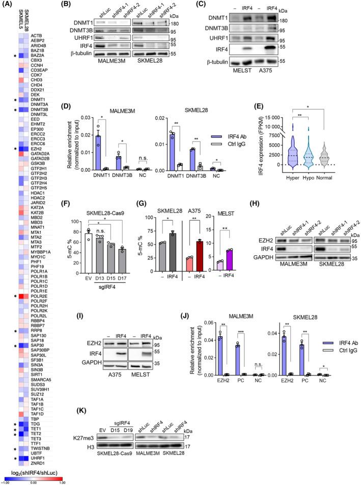 https://cdn.ncbi.nlm.nih.gov/pmc/blobs/efe8/11459048/797a7a8769ea/MOL2-18-2423-g004.jpg