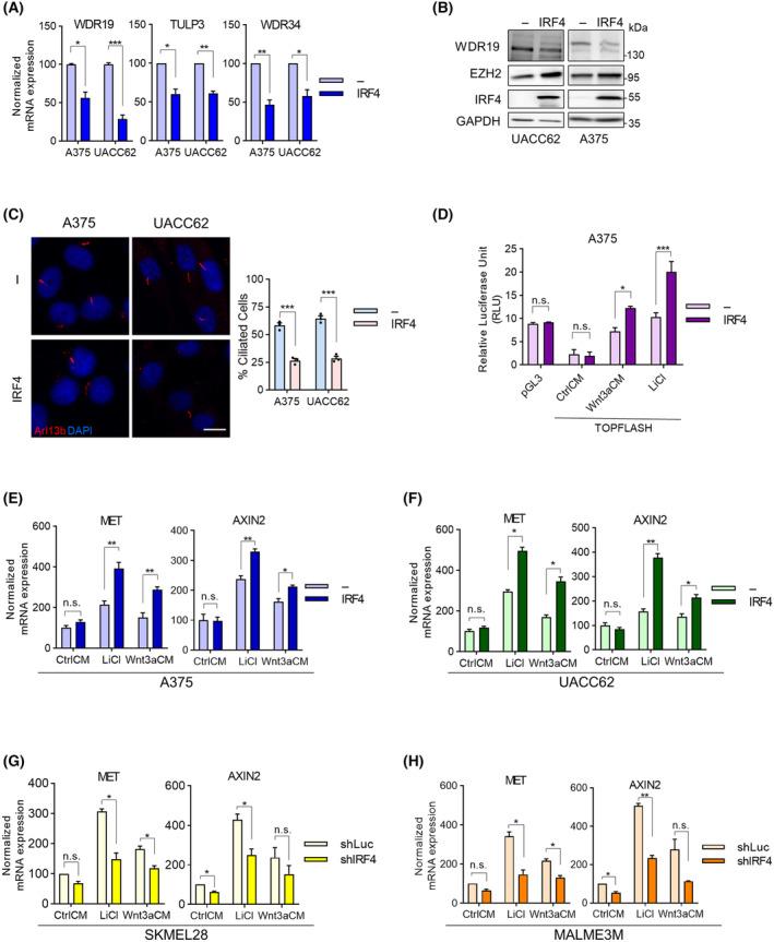 https://cdn.ncbi.nlm.nih.gov/pmc/blobs/efe8/11459048/ac15eea1a4a3/MOL2-18-2423-g006.jpg