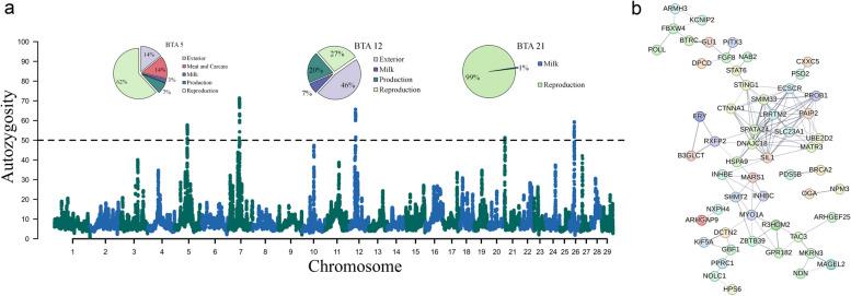 https://cdn.ncbi.nlm.nih.gov/pmc/blobs/efe9/11460123/4534fe2f84f5/12864_2024_10842_Fig3_HTML.jpg