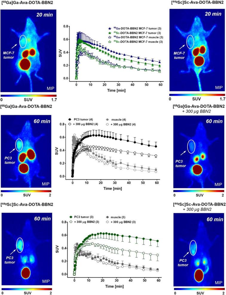 https://cdn.ncbi.nlm.nih.gov/pmc/blobs/efec/10811881/d05975253d46/40644_2024_658_Fig6_HTML.jpg