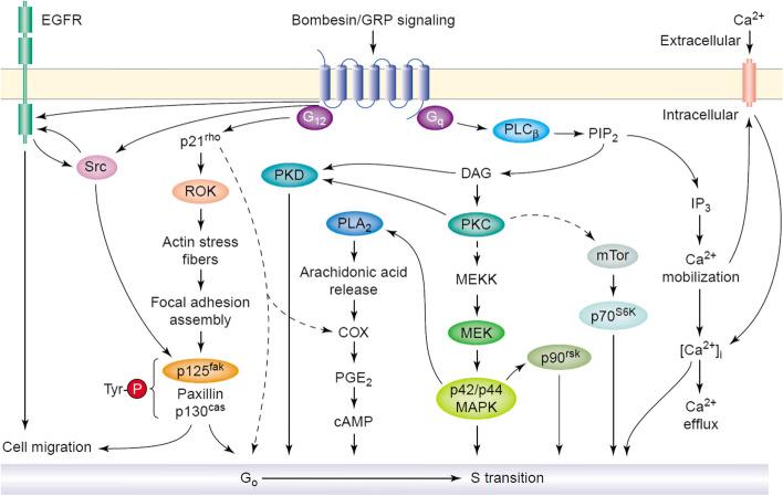 https://cdn.ncbi.nlm.nih.gov/pmc/blobs/efec/10811881/d10094af0c02/40644_2024_658_Fig1_HTML.jpg