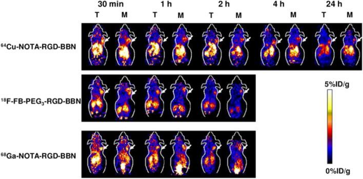 https://cdn.ncbi.nlm.nih.gov/pmc/blobs/efec/10811881/d47f932253f7/40644_2024_658_Fig5_HTML.jpg