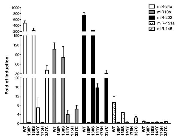https://cdn.ncbi.nlm.nih.gov/pmc/blobs/efed/4225545/3879a007d9ee/1471-2407-13-552-2.jpg