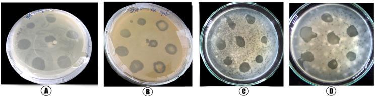https://cdn.ncbi.nlm.nih.gov/pmc/blobs/efed/5515400/42ac9141da23/pone.0179245.g003.jpg