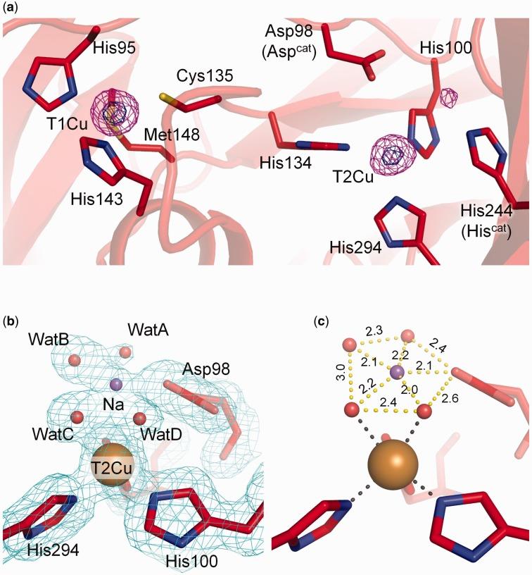 https://cdn.ncbi.nlm.nih.gov/pmc/blobs/efee/4846774/cc29b6de6b7a/mvv133f2p.jpg