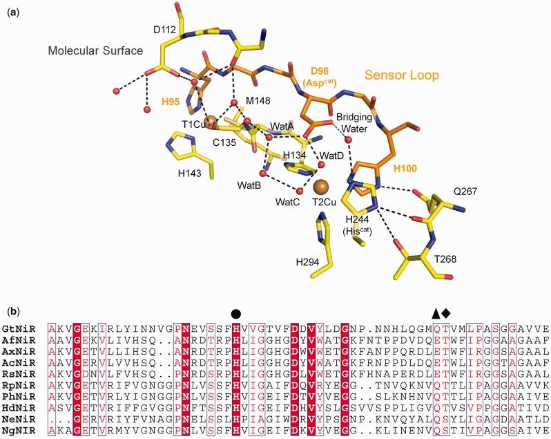 https://cdn.ncbi.nlm.nih.gov/pmc/blobs/efee/4846774/fa99c38352be/mvv133f4p.jpg