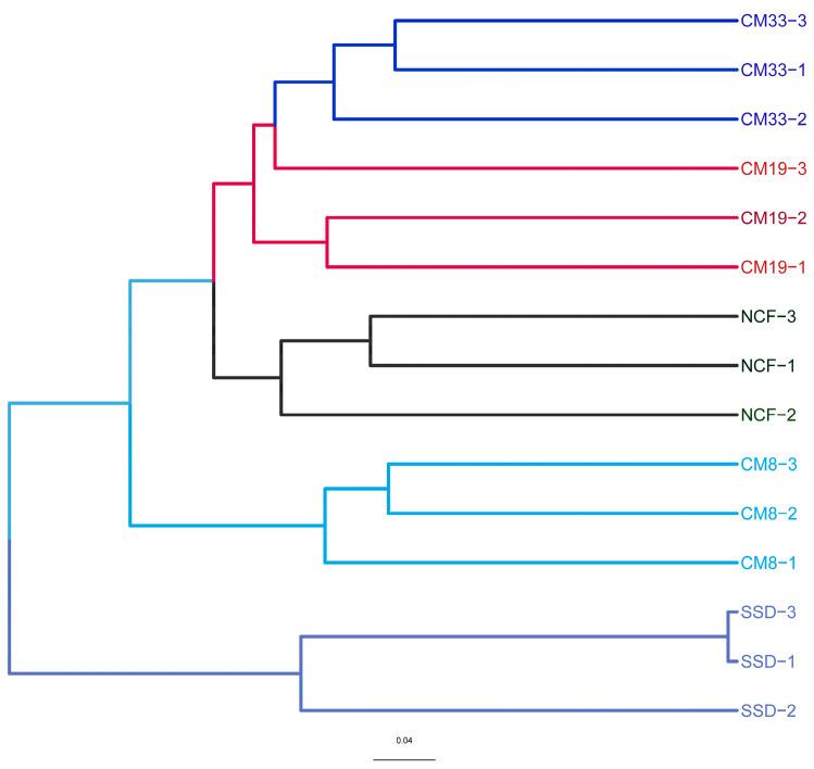 https://cdn.ncbi.nlm.nih.gov/pmc/blobs/eff0/11356087/735ba0f47511/microorganisms-12-01545-g001.jpg