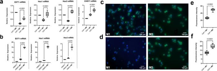 https://cdn.ncbi.nlm.nih.gov/pmc/blobs/eff0/11638944/a288edbf705e/nl4c04004_0001.jpg