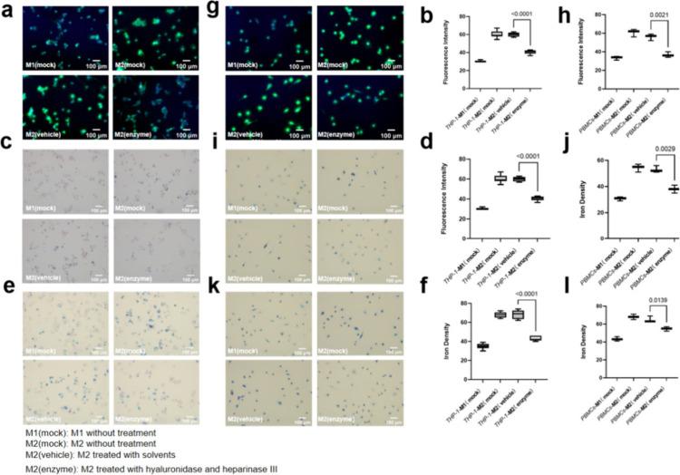 https://cdn.ncbi.nlm.nih.gov/pmc/blobs/eff0/11638944/aab06cfb4251/nl4c04004_0005.jpg