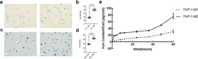 https://cdn.ncbi.nlm.nih.gov/pmc/blobs/eff0/11638944/ee7512b1de94/nl4c04004_0004.jpg