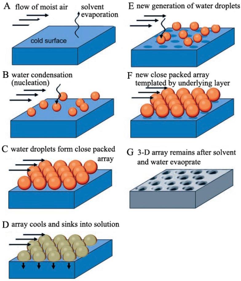 https://cdn.ncbi.nlm.nih.gov/pmc/blobs/eff0/4584288/84412834a3a8/membranes-05-00399-g002.jpg
