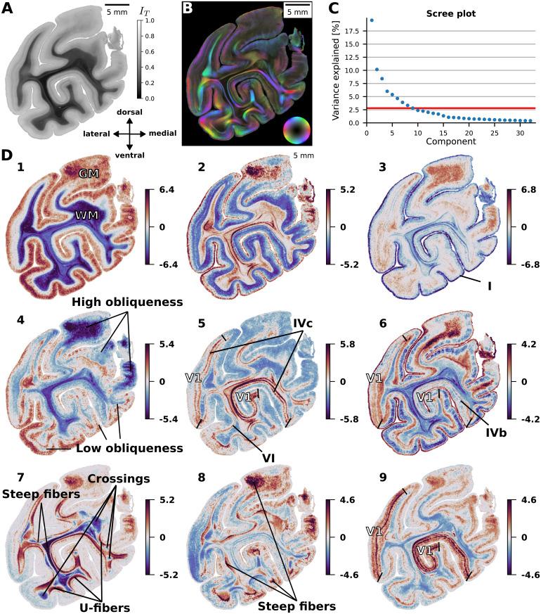 https://cdn.ncbi.nlm.nih.gov/pmc/blobs/eff3/12290659/92f166c47b40/imag_a_00351_fig13.jpg
