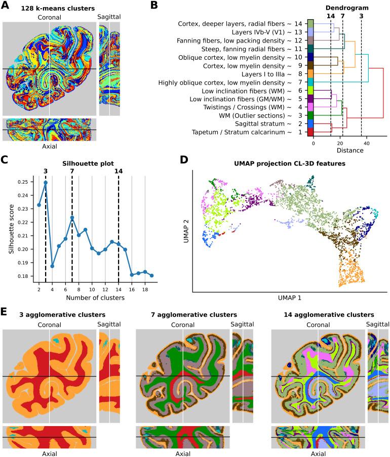https://cdn.ncbi.nlm.nih.gov/pmc/blobs/eff3/12290659/b680d50a7f19/imag_a_00351_fig9.jpg