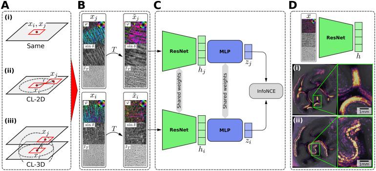 https://cdn.ncbi.nlm.nih.gov/pmc/blobs/eff3/12290659/b9ba70a15242/imag_a_00351_fig4.jpg