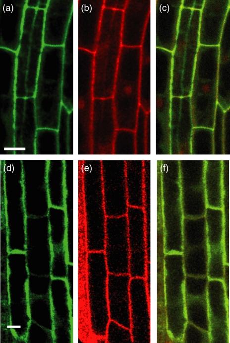 https://cdn.ncbi.nlm.nih.gov/pmc/blobs/eff4/2667306/e0282bbd90af/tpj0056-0219-f3.jpg