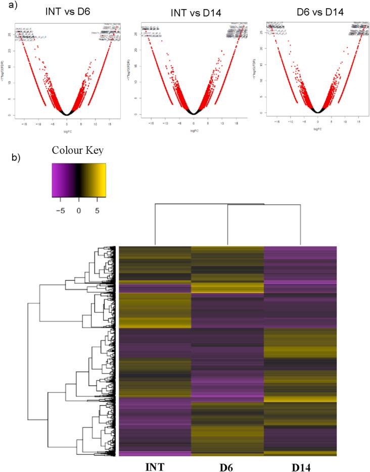 https://cdn.ncbi.nlm.nih.gov/pmc/blobs/eff4/7930291/df05364c3795/gr5.jpg
