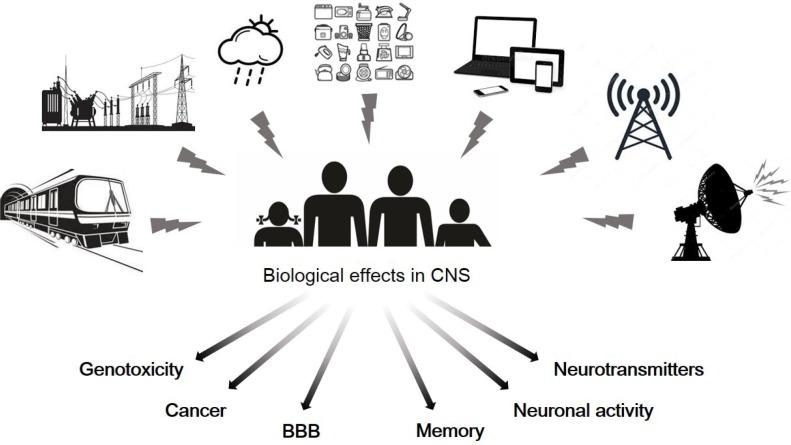 https://cdn.ncbi.nlm.nih.gov/pmc/blobs/eff6/6513191/504efb9b93f8/bt-27-265f1.jpg