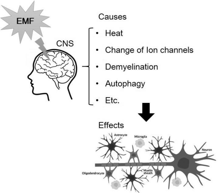 https://cdn.ncbi.nlm.nih.gov/pmc/blobs/eff6/6513191/bde95f7861bf/bt-27-265f3.jpg