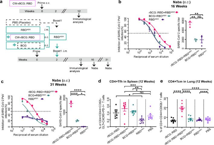 https://cdn.ncbi.nlm.nih.gov/pmc/blobs/effa/12084591/a278a9424499/41598_2025_553_Fig5_HTML.jpg