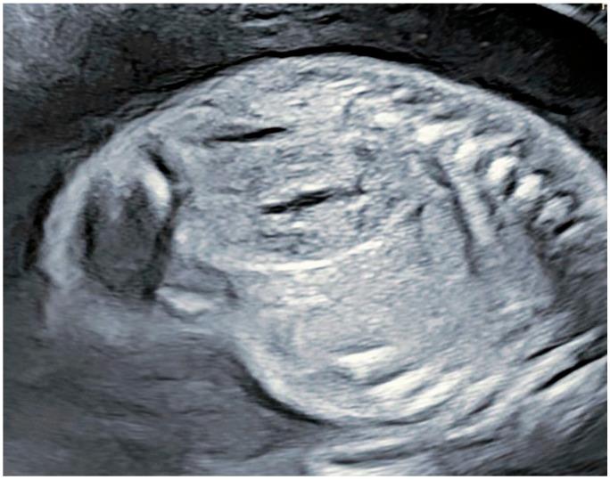 https://cdn.ncbi.nlm.nih.gov/pmc/blobs/effc/12197048/3656b6342ea2/reports-08-00056-g003.jpg